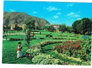 ASIA-963     KABUL : Park E Zarnegar - Afganistán