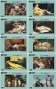 A03042 China Phone Cards Oil Painting 90pcs - Olie