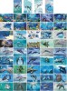 D04010 China Phone Cards Dolphin Puzzle 196pcs - Delphine