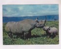 CPM RHINOCEROS - Rhinozeros