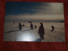 Allemagne Base NEUMAYER 23 1 1996 Carte Postale Manchots Navire POLARSTERN - Bases Antarctiques