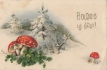 CPA HAPPY NEW YEAR, MUSHROOM, CLOWER, WINTER LANDSCAPE - Pilze