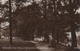 Frankenberg In Sachsen - S/w Partie An Der Harraseiche & Denkmal - Frankenberg