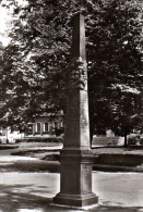 Frankenberg In Sachsen - S/w Postsäule - Frankenberg