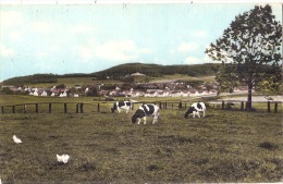 BORGHOLZHAUSEN  Timbre Décollé - Guetersloh