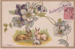 Famille De LAPINS Sous Branche De Fleurs " Souvenir D'Amité " Illustration - Sonstige & Ohne Zuordnung