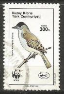 Turkish Cyprus 1990 - Mi. 276 O, Eurasian Blackcap (Sylvia Atricapilla) | Animals (Fauna) | Birds | WWF | Wildlife - Used Stamps