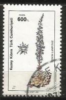 Turkish Cyprus 1990 - Mi. 293 O, Lapta Stonecrop (Sedum Lampusae) | Flowers | Plants (Flora) - Oblitérés
