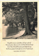 Thème - Paysage - Arbre - Rive - Citation De Alfons Petzold - Trees