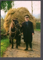 REAL IRELAND FARMER WITH HAY CART FG NV SEE 2 SCANS - Other & Unclassified