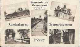 Aandenken Uit Geeraardsbergen - Souvenirs De Grammont - Multivue - Circulé - NB - TBE - Geraardsbergen