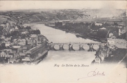 Hoei Huy  La Vallee De La Meuse       Nr 6191 - Hoei