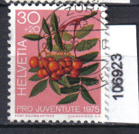 Schweiz, Zst. PJ 254, Mi. 1064 O Vogelbeere - Plantas Tóxicas