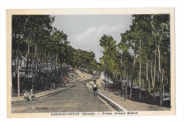 (7430-33) Lacanau Océan - Avenue Armand Mollard - Autres Communes
