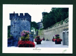 IRELAND  -  Kilkenny Castle  Used Postcard As Scans - Kilkenny