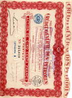 CREDIT GENERAL DES PETROLES - ACTION DE CINQ CENTS FRANCS N°245,616 1928 - Petróleo