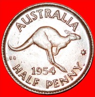 · KANGAROO RIGHT: AUSTRALIA ★ 1/2 PENNY. 1954! LOW START ★ NO RESERVE! - ½ Penny