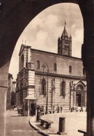 Delcampe - Grosseto - La Cattedrale (bordo Seghettato) - Grosseto