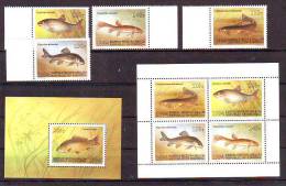 Kyrgyzstan 1994 Y Fauna Animals Fish Mi No 44-47 + Bl 6 +  Minisheet MNH - Kirghizistan