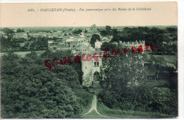 85 - MAILLEZAIS - VUE PANORAMIQUE PRISE DES RUINE DE LA CATHEDRALE - Maillezais