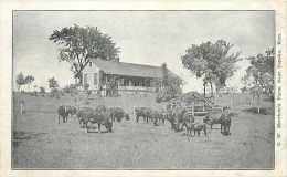 244961-Kansas, Topeka, C.W. Merriam's Farm, Cows - Topeka