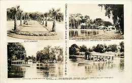 245931-Florida, Silver Springs, RPPC, Multi-View, 4 Scenes, Doubleday Photo - Silver Springs