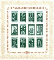 BULGARIA 1953 PLANTS Flowers CURABLE PLANTS - Fine Imperf. S/S MNH - Heilpflanzen