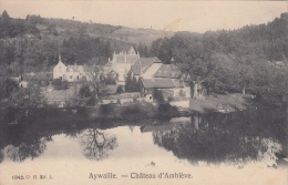 Aywaille    Château D' Amblève           Nr 6245 - Aywaille