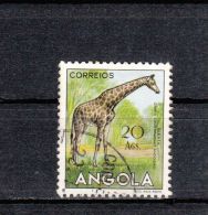 Angola YT  376 Obl : Girafe - 1953 - Giraffes