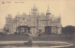 Celles   Château De Rolsy         Nr 6289 - Celles