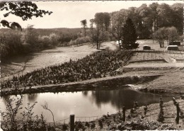 BÜLLINGEN - Bullange - Büllingen