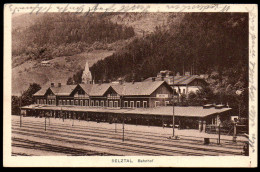 1262 - Ohne Porto - Alte Ansichtskarte - Bahnhof Selzthal Selztal Gel 1911 - TOP - Liezen