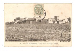 CPA 41 SALBRIS Environs De Salbris Ferme En Sologne Bel Air - Ferme Dans Des Champs -  Peu Commune - Salbris