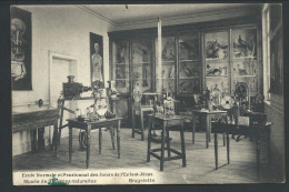 CPA - BRUGELETTE - Ecole Normale Et Pensionnat Soeurs De L'Enfant Jésus - Musée De Sciences Nat - Cachet Fortune  // - Brugelette