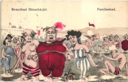 WIEN STRANDBAD GANSEHAUFEL FAMILIENBAD AUSTRAI SIGNED CARD 1909 (2 SCANS) - Other