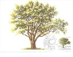 82092) Cartolina Maximum Dell´islanda- Con 20 Natura-albero-31-8-85 - Cartoline Maximum