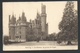 CPA - ANTOING - Le Château Du Prince De Ligne  // - Antoing