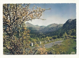 Cp, 15, Route De Salers Au Puy Mary, Entrée Du "Coumplot", Voyagée 1965 - Sonstige & Ohne Zuordnung