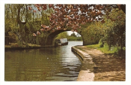 Cp, Angleterre, Marsworth, Ship Bridge, écrite - Buckinghamshire