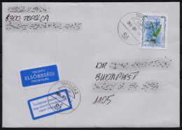 2016 - Hungary - Delayed LABEL + Priority LABEL Envelope / Letter - DEBRECEN / BUDAPEST - Used - Flower Inland Stamp - Briefe U. Dokumente