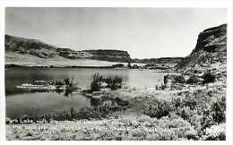 247073-Washington, Dry Falls State Park, RPPC, Park Lake, Western Souvenir Photo No 537 - Sonstige & Ohne Zuordnung