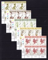 New Zealand 2014 Native Seaweeds Set As Corner Imprint Blocks Of 6 MNH - Unused Stamps