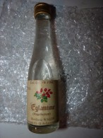 Mignonnette D'Eau De Vie D'Eglantine - Sonstige & Ohne Zuordnung