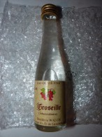 Mignonnette D'Eau De Vie De Groseille Luxembourgeoise - Sonstige & Ohne Zuordnung