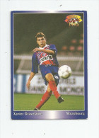 Carte De Collection , Official FOOTBALL Cards 1995 , PANINI , Strasbourg N° 196 - Andere & Zonder Classificatie