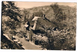 D5908     HARTENSTEIN : Gaststätte Forsthaus Prinzenhöhe - Hartenstein