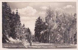 Partie Am Feldberg - Taunus