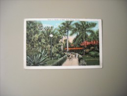 ETATS UNIS FL FLORIDA PALM BEACH SCENE IN GARDEN OF EDEN - Palm Beach