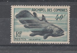 COMORES.  1954 . N° 13  Neuf  X X Coelacanthe - Unused Stamps