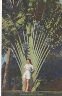 Beautiful Girl With Travelers Palm In Florida - Trees